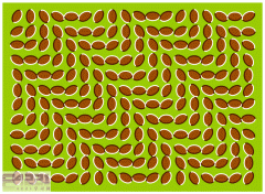 ����ͼƬ-��ս����5